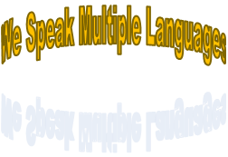 We Speak Multiple Languages
